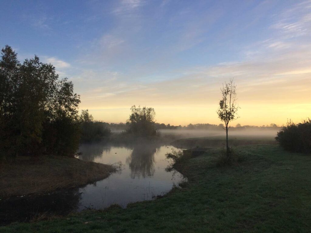 mist boven een sloot in een park